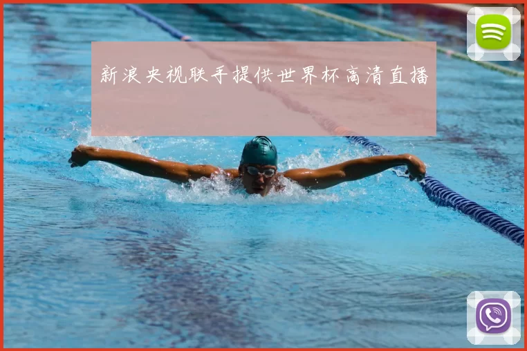 新浪央视联手提供世界杯高清直播