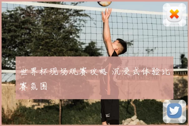 世界杯现场观赛攻略 沉浸式体验比赛氛围