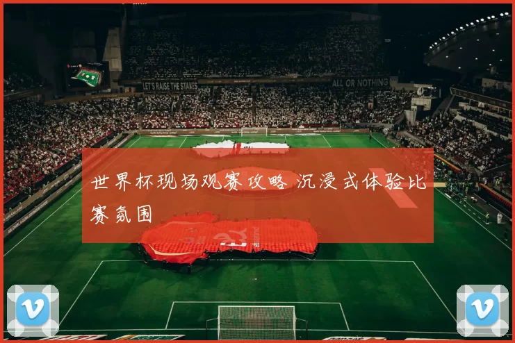 世界杯现场观赛攻略 沉浸式体验比赛氛围