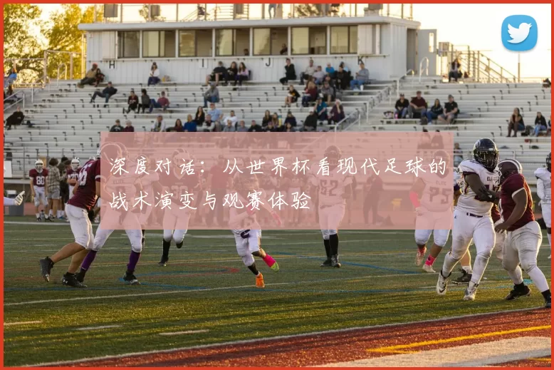 深度对话：从世界杯看现代足球的战术演变与观赛体验
