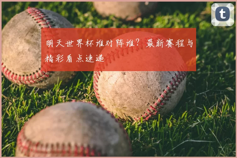 明天世界杯谁对阵谁?最新赛程与精彩看点速递
