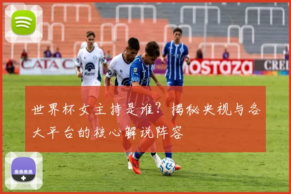 世界杯女主持是谁？揭秘央视与各大平台的核心解说阵容