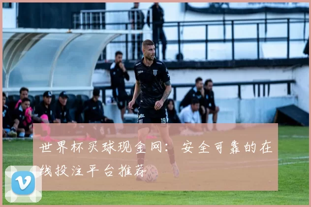 世界杯买球现金网:安全可靠的在线投注平台推荐