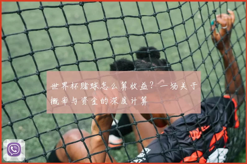 世界杯赌球怎么算收益?一场关于概率与资金的深度计算