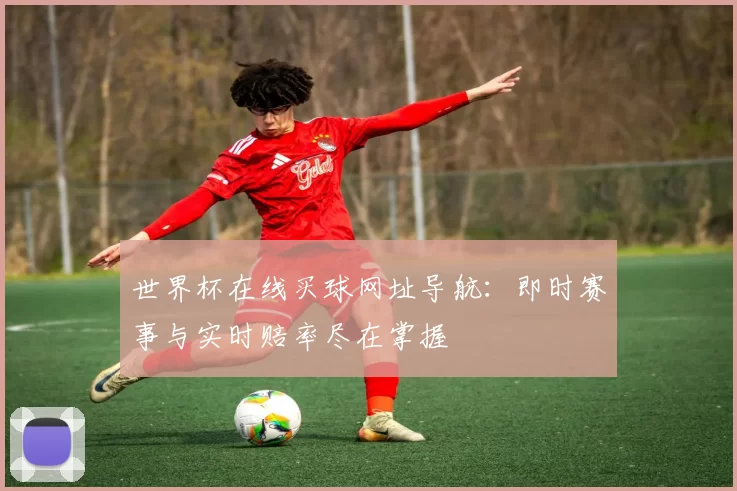 世界杯在线买球网址导航:即时赛事与实时赔率尽在掌握